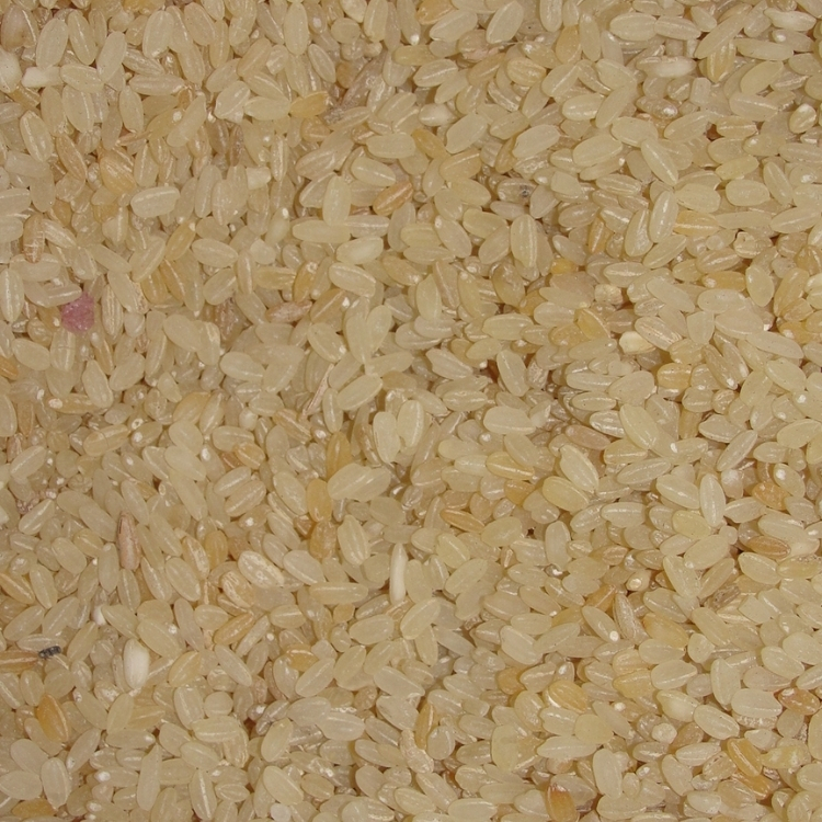 parboiled-rice-5kg-long-grain