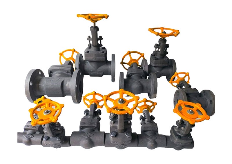 lift-check-valve-industrial-ss